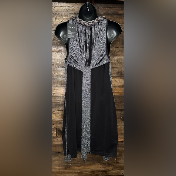 Unique Silver Fringed Dress NWT - Picture 7 of 13